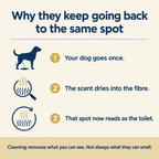 Why dogs keep going back to the same spot, three step explainer