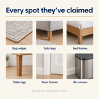 Every spot they have claimed, rug edges sofa legs bed frames table legs door frames bin corners