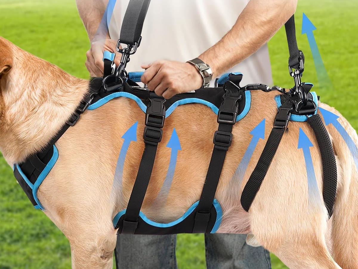Lift strap